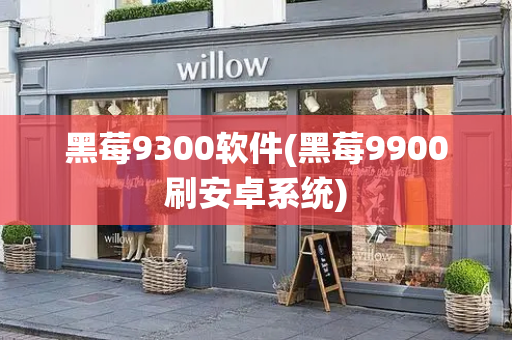 黑莓9300软件(黑莓9900刷安卓系统)-第1张图片-星选测评