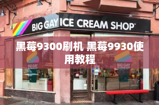 黑莓9300刷机 黑莓9930使用教程