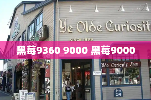 黑莓9360 9000 黑莓9000