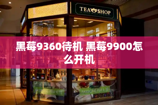 黑莓9360待机 黑莓9900怎么开机