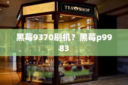 黑莓9370刷机？黑莓p9983