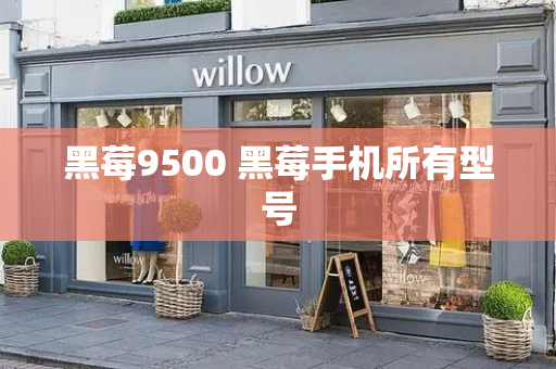 黑莓9500 黑莓手机所有型号