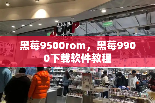 黑莓9500rom，黑莓9900下载软件教程
