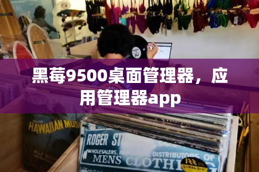 黑莓9500桌面管理器，应用管理器app