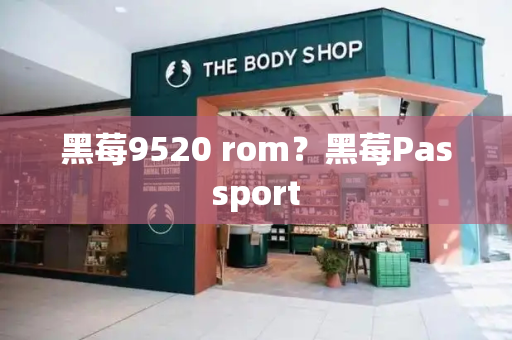 黑莓9520 rom？黑莓Passport