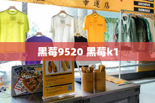 黑莓9520 黑莓k1