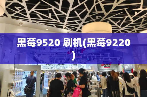 黑莓9520 刷机(黑莓9220)