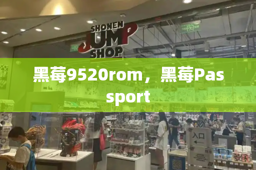 黑莓9520rom，黑莓Passport-第1张图片-星选测评