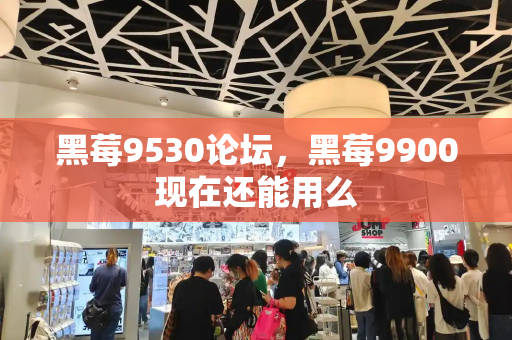 黑莓9530论坛，黑莓9900现在还能用么-第1张图片-星选测评
