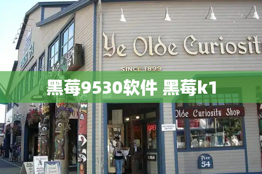黑莓9530软件 黑莓k1-第1张图片-星选测评