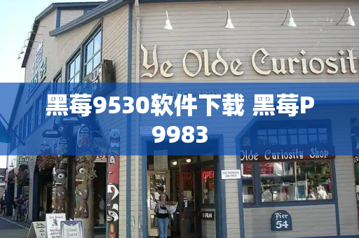 黑莓9530软件下载 黑莓P9983