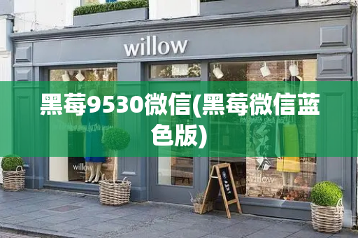 黑莓9530微信(黑莓微信蓝色版)