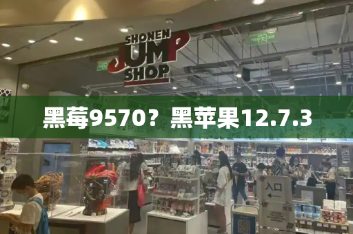 黑莓9570？黑苹果12.7.3-第1张图片-星选测评