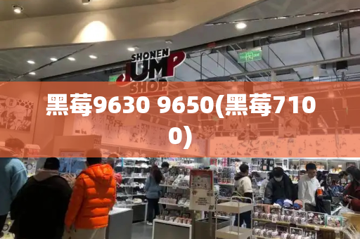 黑莓9630 9650(黑莓7100)-第1张图片-星选测评