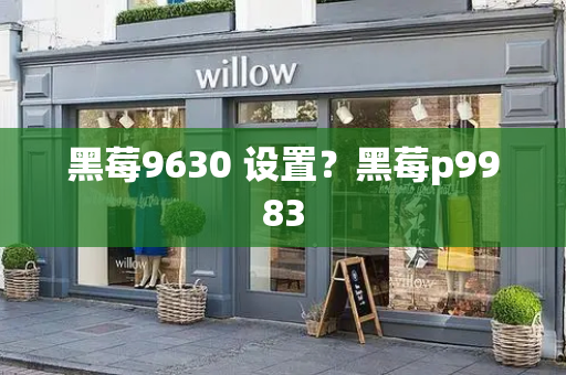 黑莓9630 设置？黑莓p9983
