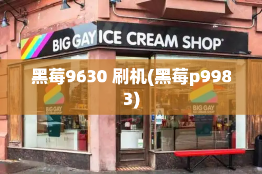 黑莓9630 刷机(黑莓p9983)-第1张图片-星选测评