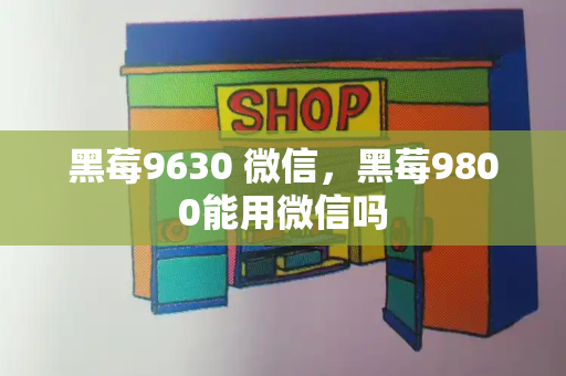 黑莓9630 微信，黑莓9800能用微信吗