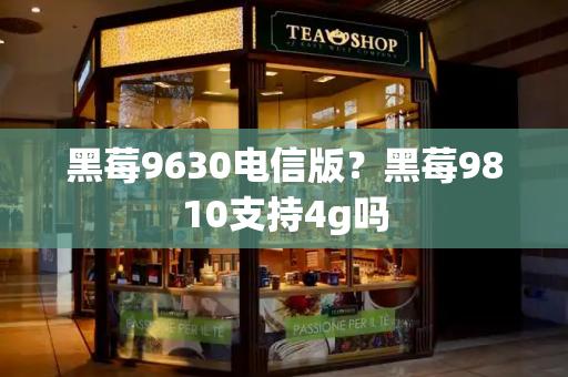 黑莓9630电信版？黑莓9810支持4g吗