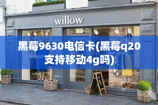 黑莓9630电信卡(黑莓q20支持移动4g吗)