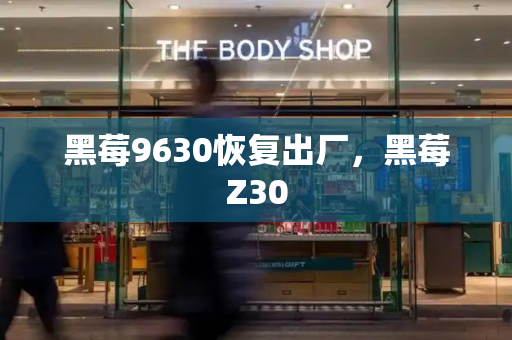 黑莓9630恢复出厂，黑莓Z30-第1张图片-星选测评