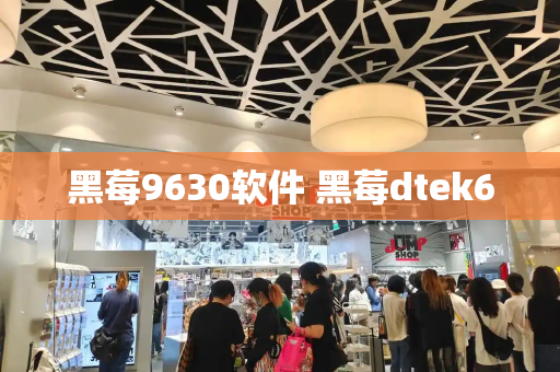 黑莓9630软件 黑莓dtek60