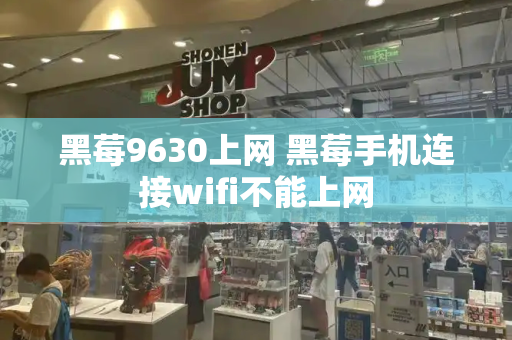 黑莓9630上网 黑莓手机连接wifi不能上网