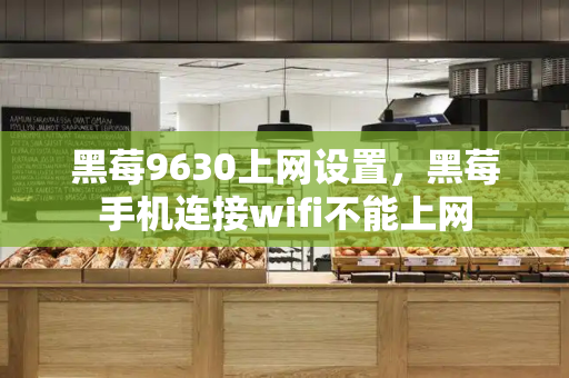 黑莓9630上网设置，黑莓手机连接wifi不能上网