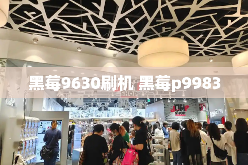 黑莓9630刷机 黑莓p9983