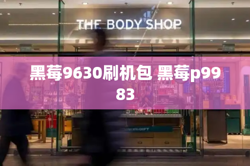 黑莓9630刷机包 黑莓p9983-第1张图片-星选测评
