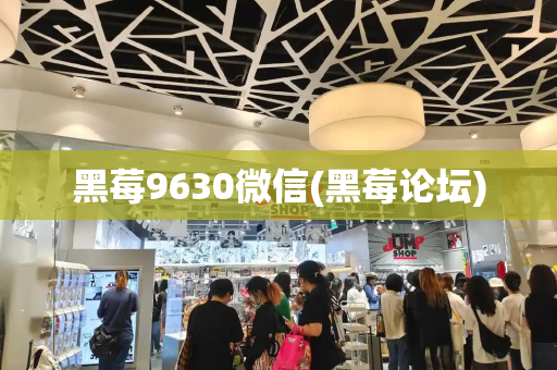 黑莓9630微信(黑莓论坛)