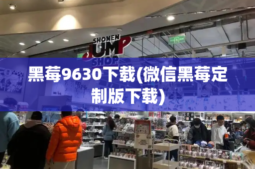 黑莓9630下载(微信黑莓定制版下载)-第1张图片-星选测评