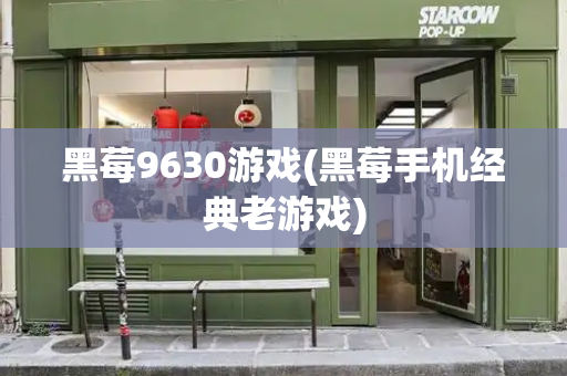 黑莓9630游戏(黑莓手机经典老游戏)