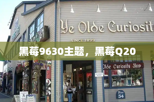黑莓9630主题，黑莓Q20