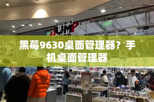 黑莓9630桌面管理器？手机桌面管理器