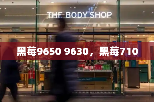 黑莓9650 9630，黑莓7100