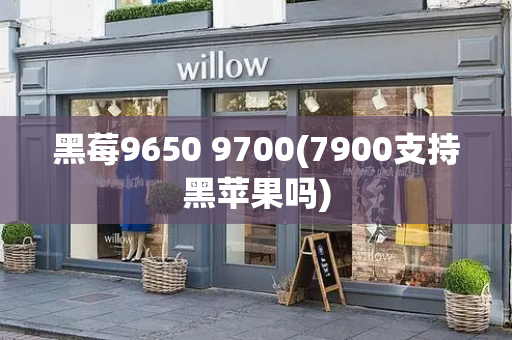 黑莓9650 9700(7900支持黑苹果吗)