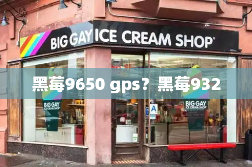 黑莓9650 gps？黑莓9320
