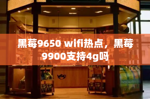 黑莓9650 wifi热点，黑莓9900支持4g吗