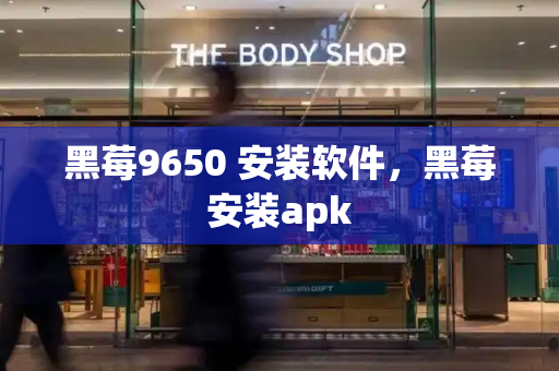 黑莓9650 安装软件，黑莓安装apk-第1张图片-星选测评
