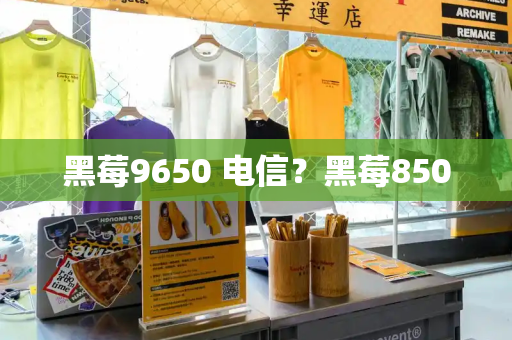 黑莓9650 电信？黑莓850-第1张图片-星选测评