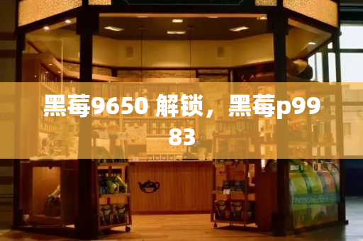 黑莓9650 解锁，黑莓p9983