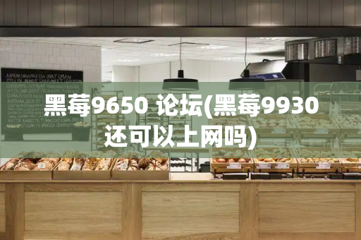 黑莓9650 论坛(黑莓9930还可以上网吗)
