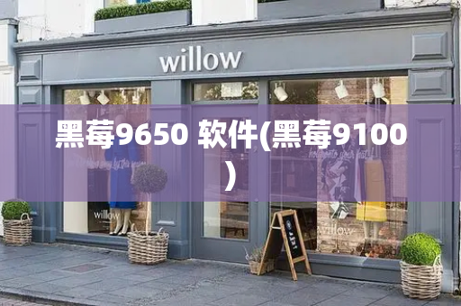 黑莓9650 软件(黑莓9100)-第1张图片-星选测评