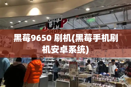 黑莓9650 刷机(黑莓手机刷机安卓系统)-第1张图片-星选测评