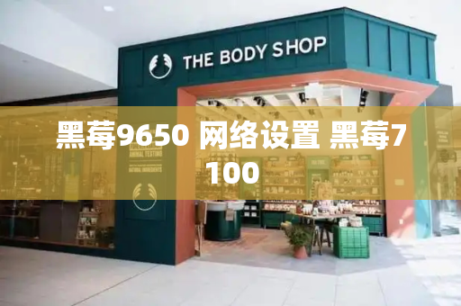 黑莓9650 网络设置 黑莓7100-第1张图片-星选测评