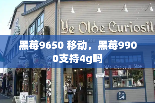 黑莓9650 移动，黑莓9900支持4g吗