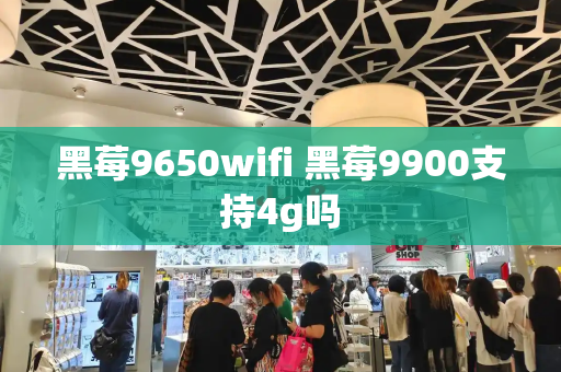黑莓9650wifi 黑莓9900支持4g吗