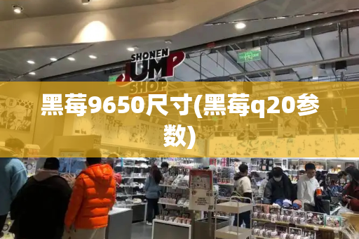 黑莓9650尺寸(黑莓q20参数)-第1张图片-星选测评