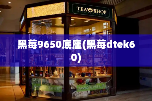 黑莓9650底座(黑莓dtek60)