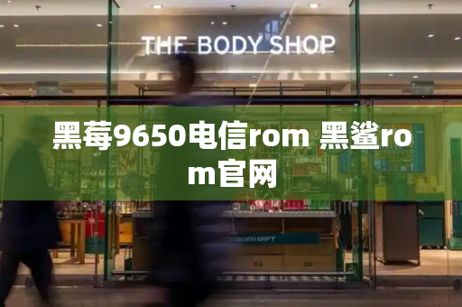 黑莓9650电信rom 黑鲨rom官网